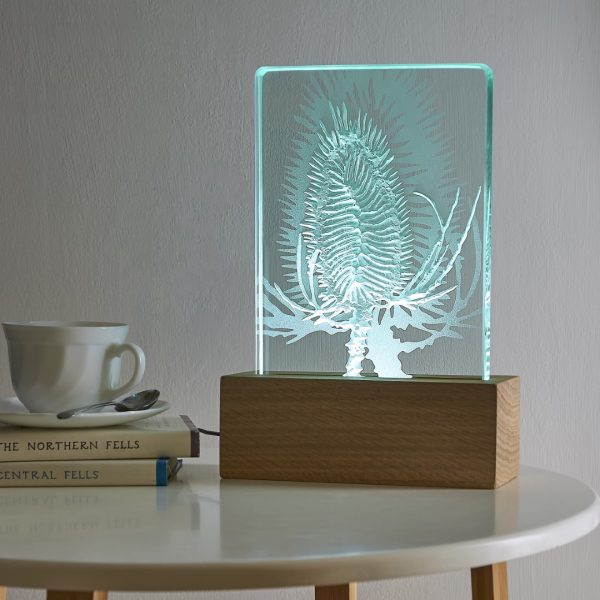 Teasel design engraved glass and wood LED table light by Tim Carter