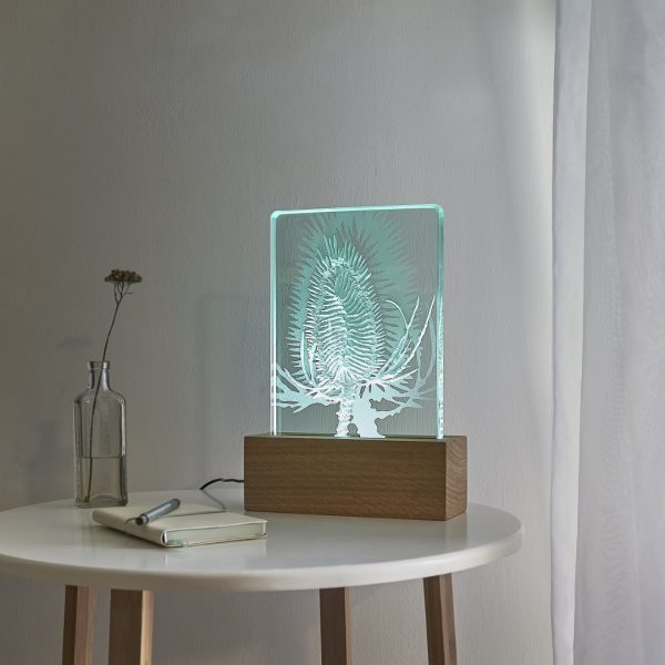 Teasel design engraved glass and wood LED table light by Tim Carter