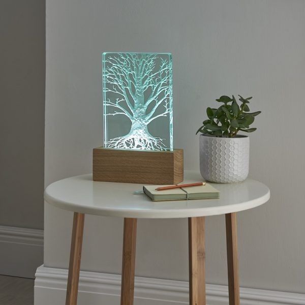 Illuminated engraved glass table light by Tim Carter