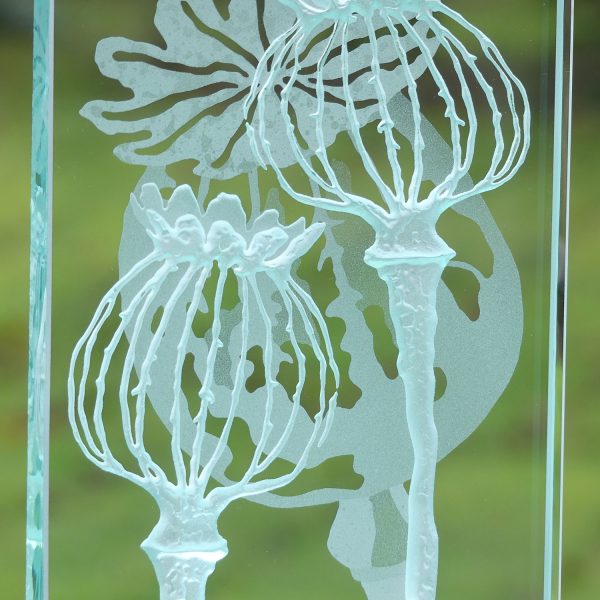Detail of Poppy design engraved sandblasted glass LED table light by Tim Carter
