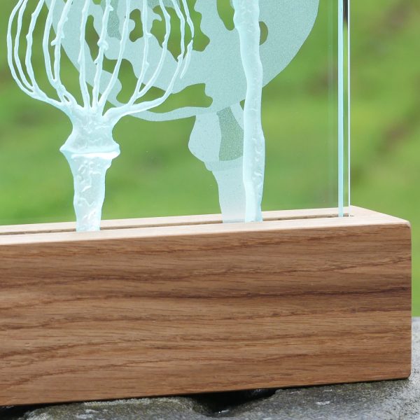 Detail of Poppy design engraved glass and oiled oak wood LED table light by Tim Carter